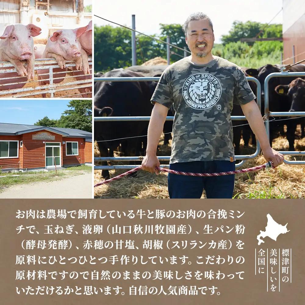 【生ハンバーグ】北海道産牛ハンバーグ 12個セット 【AC】