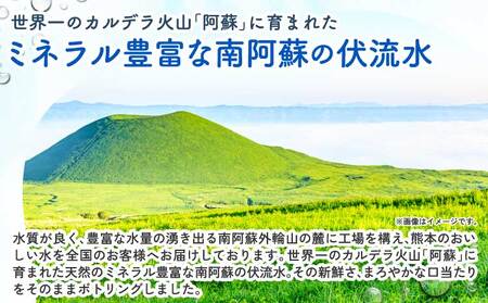 【3ヶ月定期便】熊本のおいしいお水 阿蘇山天然水 330ml×48本（2ケース）