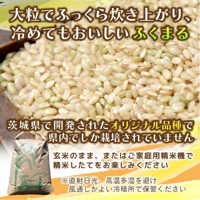 ふるさと納税 ひたちなか市 先行予約　令和8年産米　ふくまる　玄米 10kg　農家直送 ヒロファーム　茨城県ひたちなか市産 |  | 01
