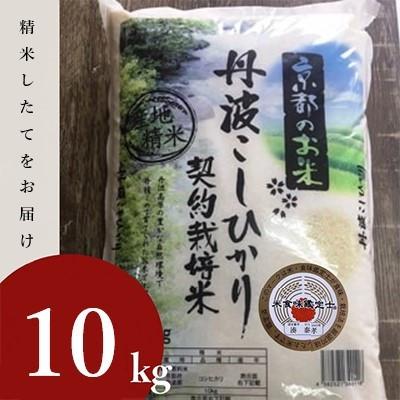 ふるさと納税 亀岡市 【令和7年産】京都丹波産 お米 コシヒカリ 精米 10kg