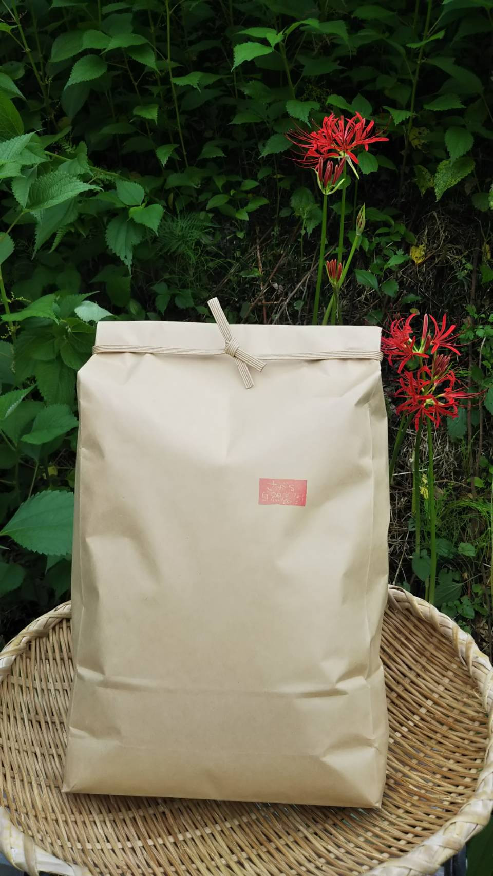 
            栽培期間中農薬・化学肥料(窒素成分)を使用していない・天日干しのこしひかり 白米5kg
          