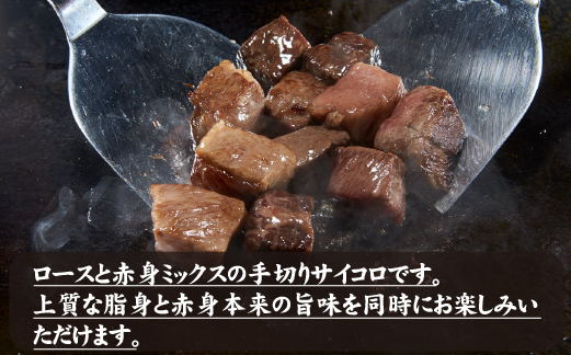【D043・訳あり特販用】宮崎牛ロース＆赤身手切りサイコロ600g+おためし100g　計700g（国産 牛肉 訳あり 和牛 サイコロ ステーキ 焼肉 BBQ 厚切り A4等級以上 赤身 霜降り 冷凍 