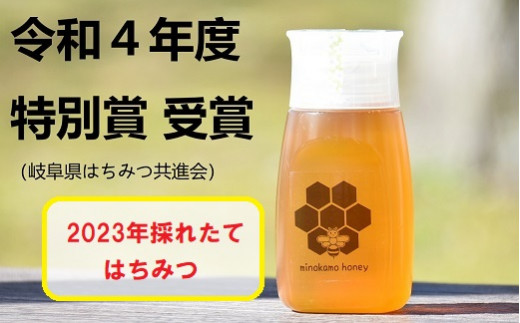 MINOKAMO HONEY はちみつ （ 300g ）| 藤井養蜂 蜂蜜 非加熱 百花蜜 国産 たれにくい