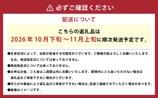 アールスメロン 約8kg （4～6玉） 【2026年10月下旬～11月上旬まで順次発送予定】