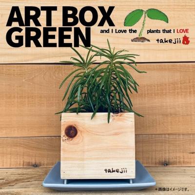 ふるさと納税 赤磐市 インテリア ART BOX GREEN / 003(木目)アートボックス[NO5765-1127]