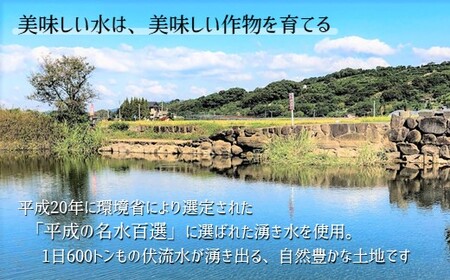 【定期便6回】米 ひのひかり 10kg（2ヶ月毎×6回）| かめまる農園