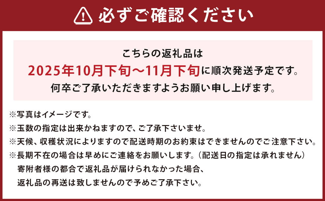 博多甘うぃ キウイ 約3.6kg 20~24玉 【2025年10月下旬～11月下旬発送】果物 フルーツ お取り寄せ 福岡県