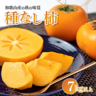 ふるさと納税 九度山町 【2025年発送】九度山グルメ市場の種なし柿 7kg以上