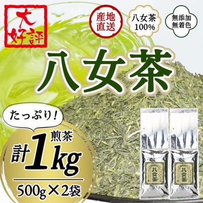 ふるさと納税 八女市 八女茶100% 家庭用業務用煎茶 1kg!(500g×2袋)