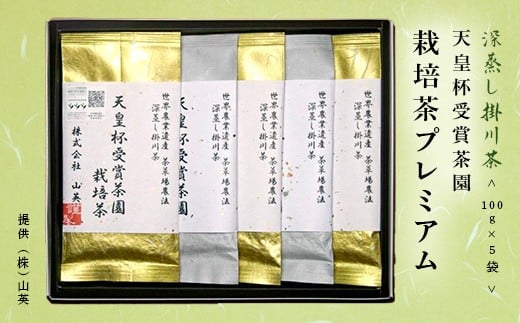 天皇杯受賞茶園栽培のプレミアム茶100g×5袋【1551501】