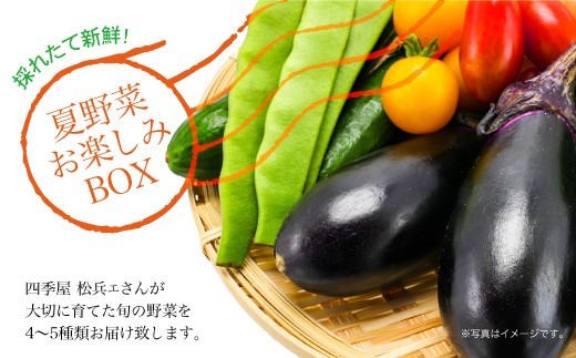 
            採れたて新鮮！夏野菜お楽しみBOX
          