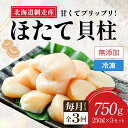 【ふるさと納税】【全3回（毎月）】網走前浜産 無添加ホタテ貝柱750g（250g×3袋）【 ホタテ ほたて 帆立 貝柱 ホタテ貝柱 ほたて貝柱 帆立貝柱 刺身 刺身ホタテ 刺身帆立 緊急支援 支援 生産者支援 魚介 小分け 天然 750g 250g 3パック 北海道 網走市 送料無料 】 ABAI033