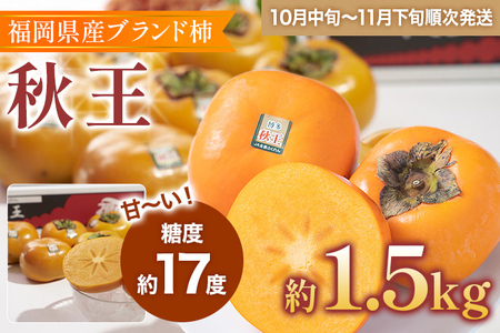 福岡県産ブランド柿「秋王」約1.5kg(4-6玉)
