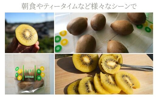 画像はイメージです。