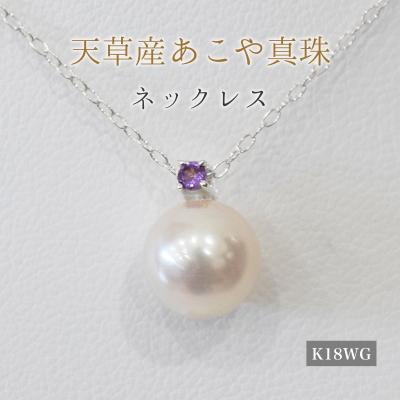 ふるさと納税 天草市 真珠 ネックレス 8-8.5mm ホワイトピンク 2月 アメシスト K18WG_S101-506