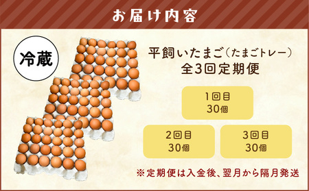 【 全3回 定期便 】 平飼い たまご （ たまごトレー ） T074-T01-02 卵