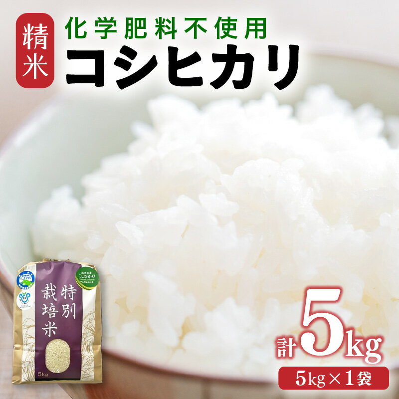 【ふるさと納税】【令和7年産 新米】 化学肥料不使用コシヒカリ 精米5kg（5kg×1袋） / 白米 米 福井県あわら市産 美味しい 特別栽培米 減農薬 安心な米 旨味 甘み もっちり エコファーマー こしひかり 冷蔵保管米