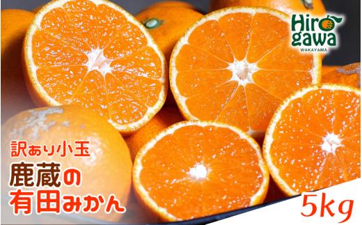 鹿蔵の 有田みかん 訳あり 小玉 5kg 光センサー 選果【ikd004-cs-5-novE】