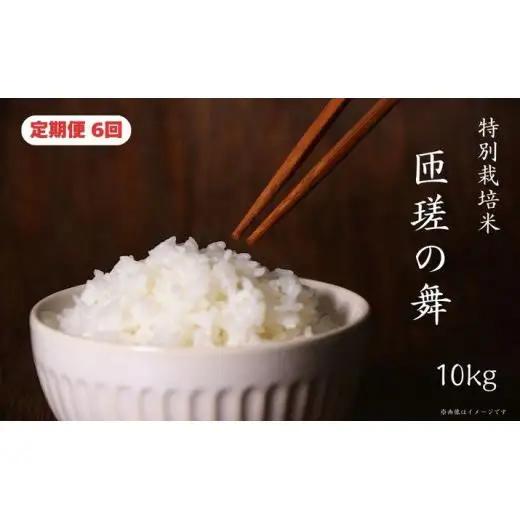 【定期便6回】 令和8年産　匝瑳の舞　精米　10kg ／ お米 米 コメ こめ ごはん ふさこがね 白米 精米 10kg チバエコ 特別栽培 千葉県 匝瑳市