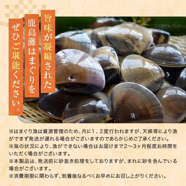 大洗産鹿島灘天然はまぐり 2㎏ 冷蔵 ハマグリ 蛤 貝 砂抜き処理 大洗産 天然 はまぐり_BQ009