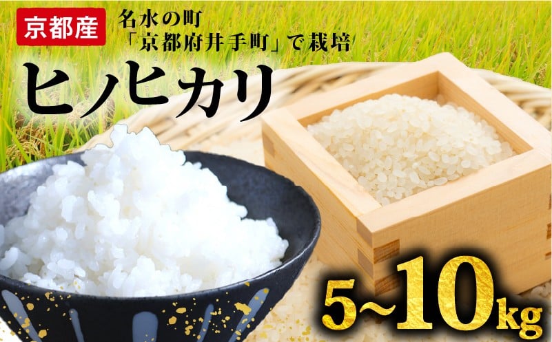 
            【令和7年産先行受付】ヒノヒカリ 選べる 5kg 10kg 定期便 6ヶ月 12ヶ月 令和7年 新米 精米 白米 お米 米 こめ コメ ご飯 令和7年産 5キロ 10キロ 京都 井手町 
          