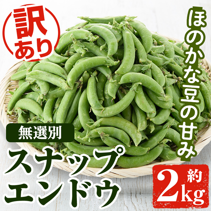 ＜先行予約受付中！2026年12月中旬以降順次発送予定＞訳あり！鹿児島県産 スナップエンドウ(約2kg) 国産 野菜 スナップエンドウ スナップえんどう おつまみ サラダ 炒め物 訳アリ サイズ混合【松永青果】akn053-07