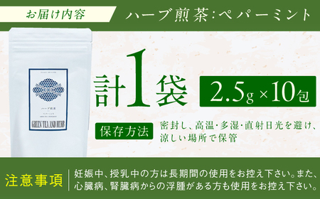 ペパーミントティーバッグ2.5g×10包 広川町 / ゆげ製茶[AFAG017]