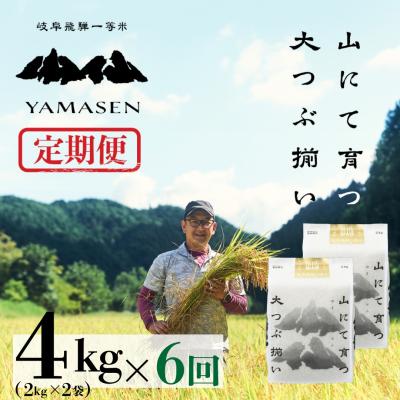 ふるさと納税 下呂市 【令和7年産】【定期便】山仙(いのちの壱)2kg×2袋×6回 すがたらいす【51-T】