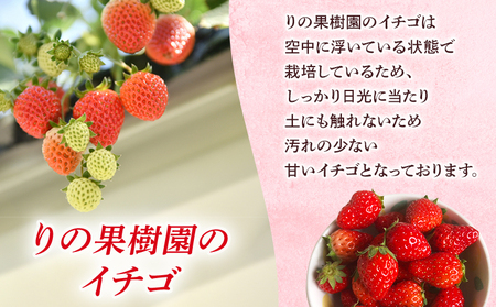 ＜訳あり いちご あまおとめ 約1.3kg 小粒 加工用 冷蔵 規格外品＞ 国産 サイズ 小粒 詰め合わせ アマオトメ 訳あり 訳アリ フルーツ 果物 苺 いちご イチゴ シャーベット スムージー り