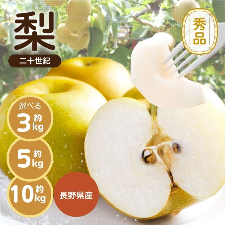 【ふるさと納税】滴る程にジューシー 長野県産　なし(二十世紀) 秀品 選べる 容量〈2026年9月上旬〜9月末発送〉| 山下屋荘介 果物 くだもの フルーツ なし 梨 二十世紀 長野県 信州 南信州 飯田市 B04 B27 B41