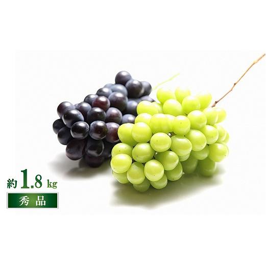 【令和7年産先行予約】 シャインマスカット ＆ 大粒ぶどう 計約1.8kg (2～4房 秀) 《令和7年9月下旬～11月中旬発送》 『フードシステムズ』 葡萄 ぶどう 果物 フルーツ デザート 山形県 南陽市 [1390]