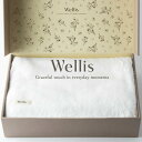 【ふるさと納税】Wellis【極上の肌心地】タオルケット1枚　ギフトセット（009_5044）