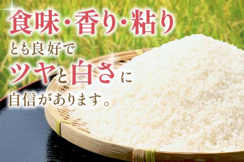 【令和6年産】石見産「きぬむすめ」（２ｋｇ×４袋） 米 お米 きぬむすめ 精米 白米 ごはん 新生活 応援 準備 お取り寄せ 特産 【612】