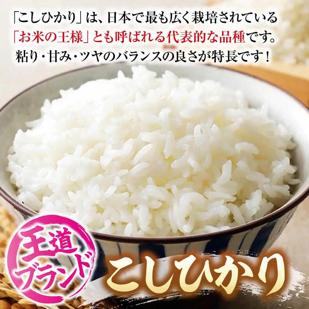 こしひかり 2kg 最短3日発送 スピード発送 令和7年産 [APBM023]米