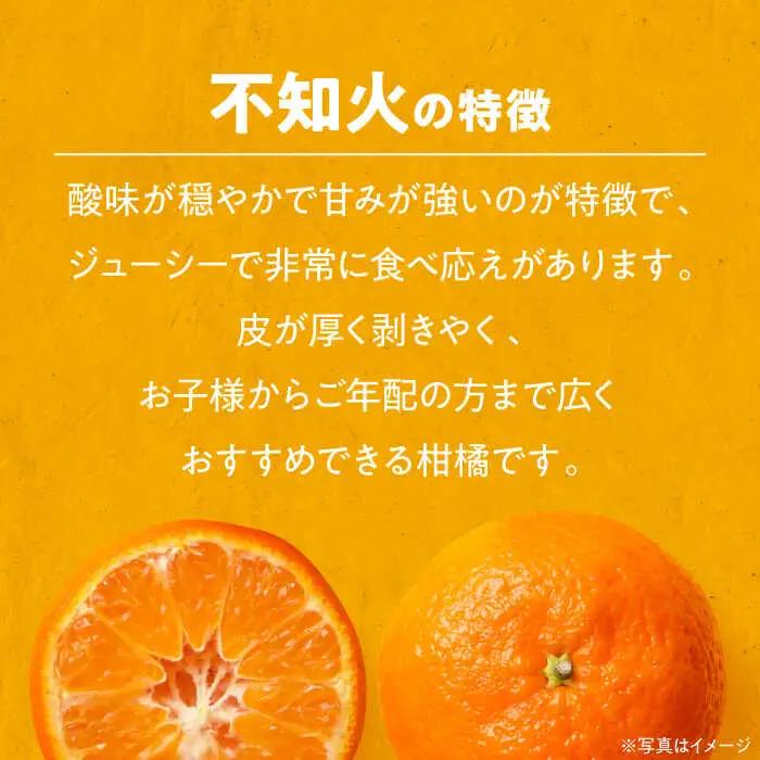 【不知火】 不知火 5kg しらぬい [AGBC003]