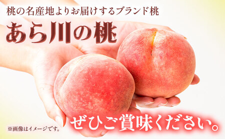 あら川の桃 約2kg(5～8玉) 