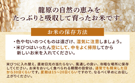 龍のひかり米 なつほのか（精米）4kg（2kg×2）