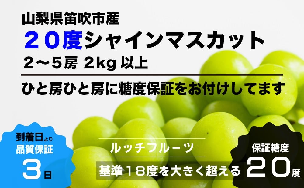 
            【全房糖度20度保証付】シャインマスカット 約2kg 2～5房【数量超限定】旬の美味しいフルーツだけをお届けします【ルッチ Rucci】産地直送 山梨県 笛吹市 果物 葡萄 ぶどう 贈答 人気 ギフト プレミアム 高級　104-042
          