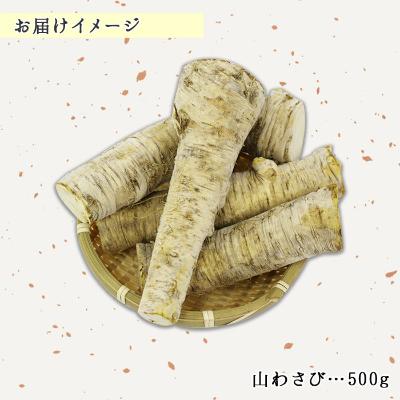 ふるさと納税 弟子屈町 【北海道】 天然 山わさび 500g前後 弟子屈町より直送 3166 |  | 02