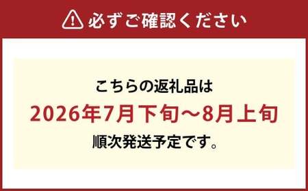 清水白桃 5玉（合計約1.3kg）果物 デザート スイーツ フルーツ 果肉 美味しい 甘い 柔らかい 上品 高級品種 贈り物 ギフト【2026年7月下旬～8月上旬迄順次発送予定】