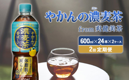 【2回定期便】やかんの濃麦茶 from 爽健美茶 600ml PET×24本（2ケース）合計96本【コカコーラ】麦茶 アウトドア 日本茶 お茶 むぎ茶 ペットボトル カフェインゼロ ノンカフェイン 常温 送料無料 こども 美容 むくみ BMI 体脂肪