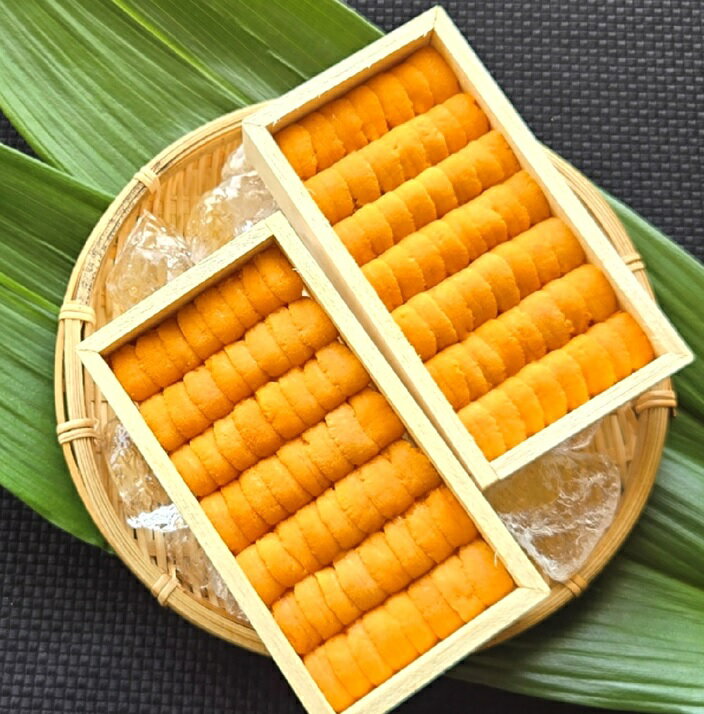 【ふるさと納税】エゾバフンウニ並べ詰め約80〜100g×2折[11月中旬以降発送] C-40031