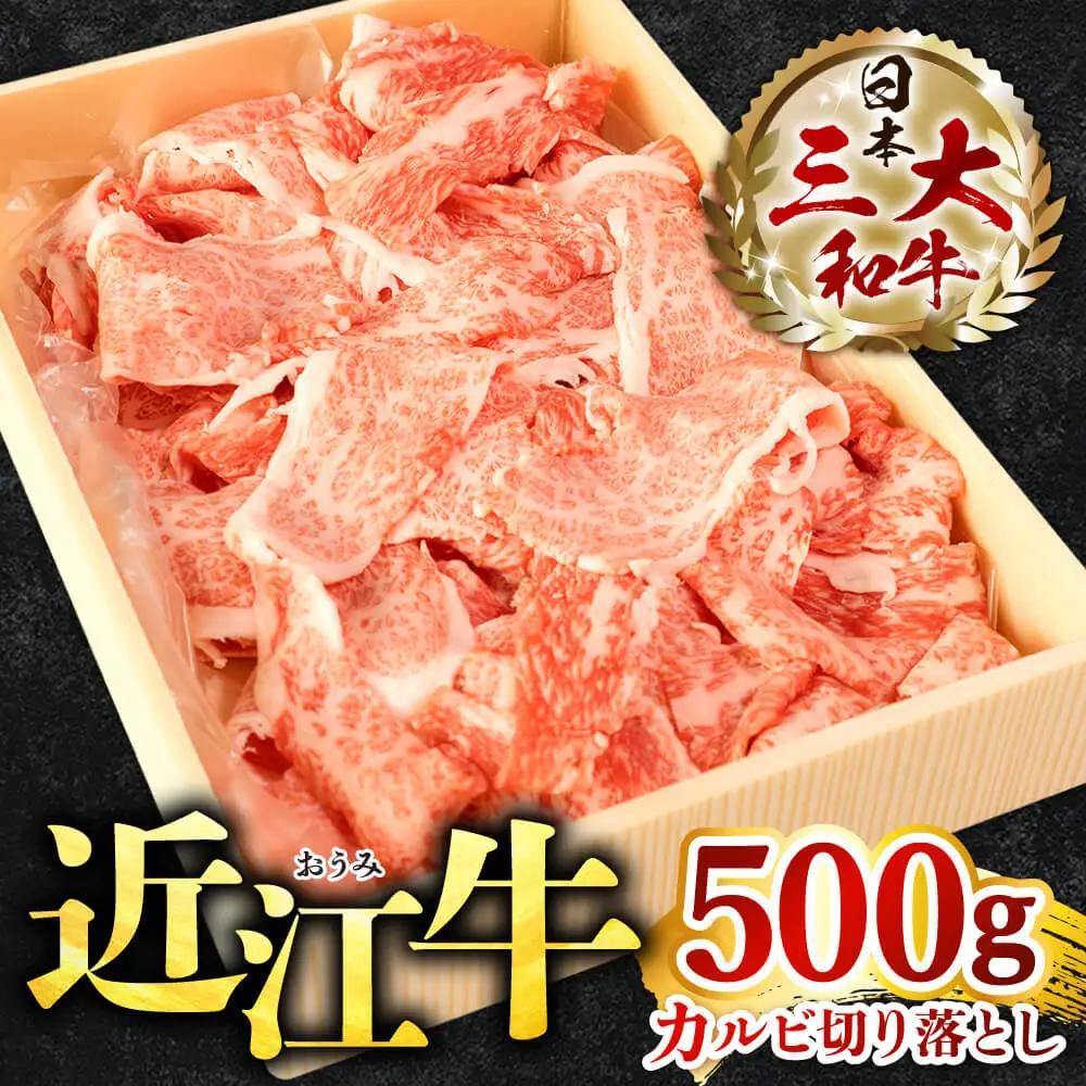 近江牛 カルビ 切り落とし 500g 株式会社びわこフード 滋賀県 東近江市 A-E32 近江牛 焼肉 すき焼き 牛丼 肉じゃが 500g A4 A5 霜降り 和牛 高級 国産 ブランド牛 