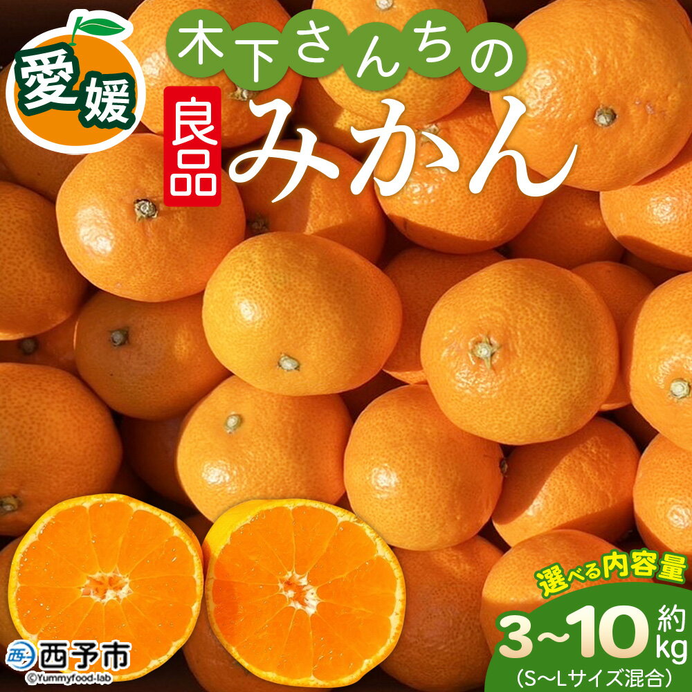 【ふるさと納税】＜木下さんちのみかん 良品 約3kg／5kg／10kg（S～Lサイズ混合）＞『2026年11月中旬〜12月下旬に順次出荷予定』 柑橘類 温州みかん うんしゅうみかん みかん ミカン 蜜柑 果物 くだもの フルーツ 選べる内容量 特産品 木下農園 西宇和 愛媛県 西予市【常温】