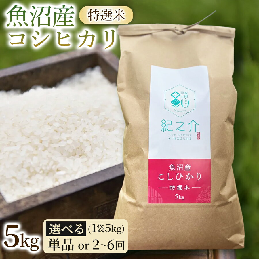 【ふるさと納税】【令和8年産先行予約】魚沼産コシヒカリ 特選米 5kg(5kg×1袋) 選べる配送回数 | 新潟産コシヒカリ 新潟県産コシヒカリ 魚沼産こしひかり 米 お米 こしひかり 白米 精米 ブランド米 津南町 株式会社紀之介