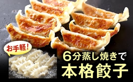 訳あり 本格餃子 50個セット 訳あり 本格 餃子 50~100個セット ぎょうざ 国産 ギョーザ 野菜 わけあり ワケアリ 冷凍餃子 ぎょうざ ジューシー 中華 セット 詰め合わせ 国産野菜 大容量