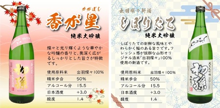 SG0069　【四季の酒田の酒まつり頒布会】　初孫純米大吟醸720ml×2本(全4回)