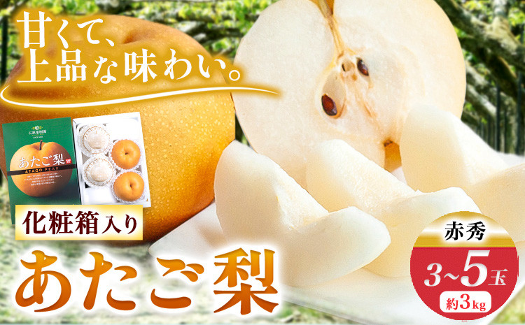 
あたご梨 3~5玉 3kg 化粧箱 石原果樹園 赤秀 《11月下旬-12月下旬頃より発送予定》岡山県 浅口市 梨 なし 果物 フルーツ くだもの あたご
