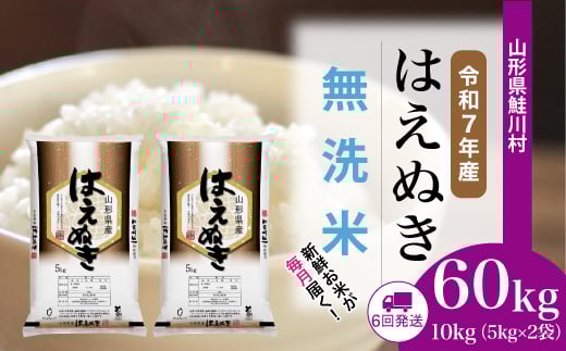 ＜令和7年産米＞ はえぬき 【無洗米】 定期便 60kg （10kg×1ヶ月間隔で6回お届け）＜配送時期選べます＞　山形県鮭川村