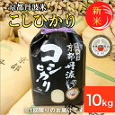 【ふるさと納税】米 10kg 新米 京都丹波米 こしひかり 令和6年産 白米※精米したてをお届け 米・食味鑑定士厳選 コシヒカリ 京都丹波産 ふるさと納税米 ◆北海道・沖縄・離島への配送不可